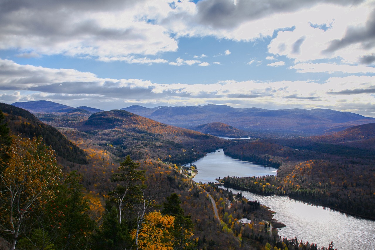 wilderness forest lake free photo