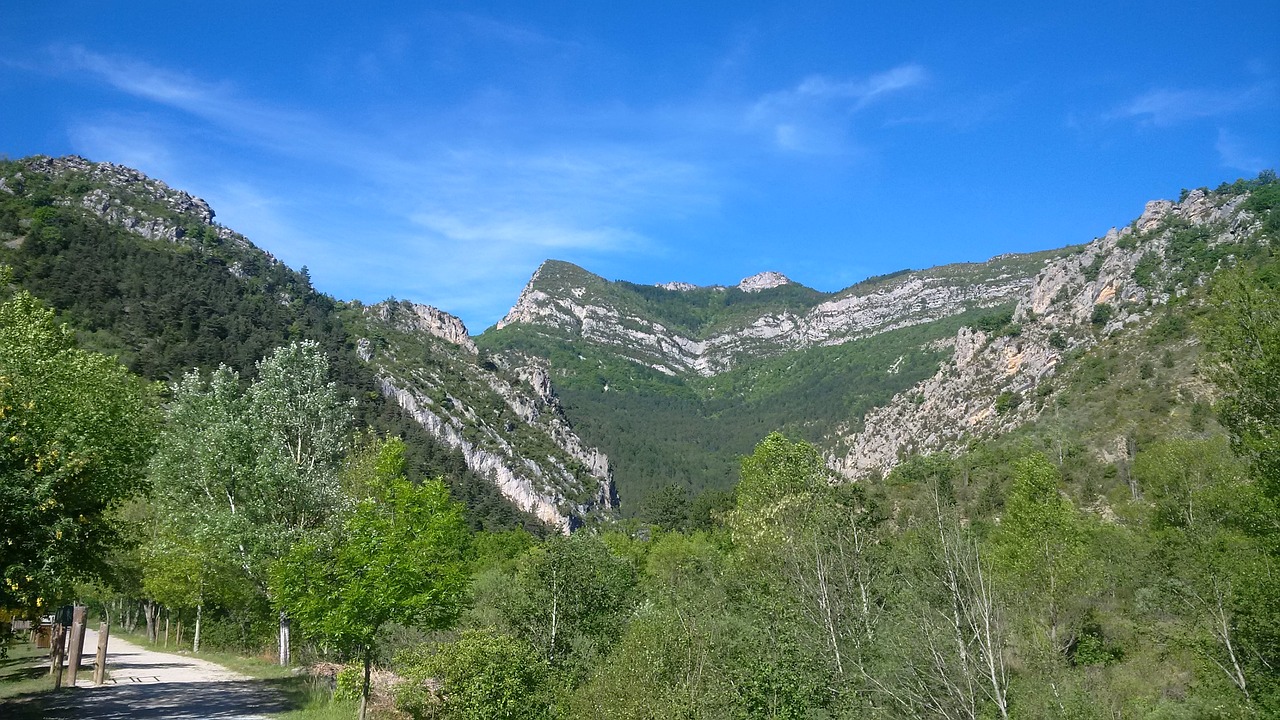 wilderness alps countryside free photo