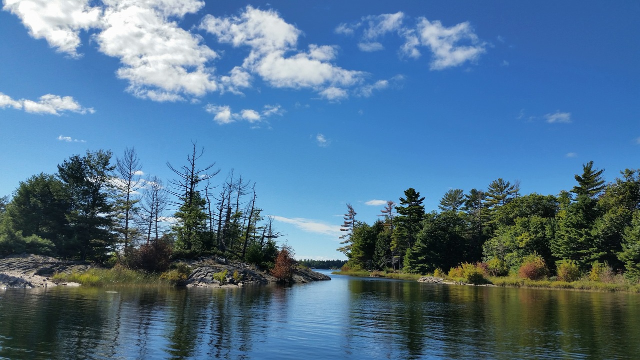 wilderness nature river free photo