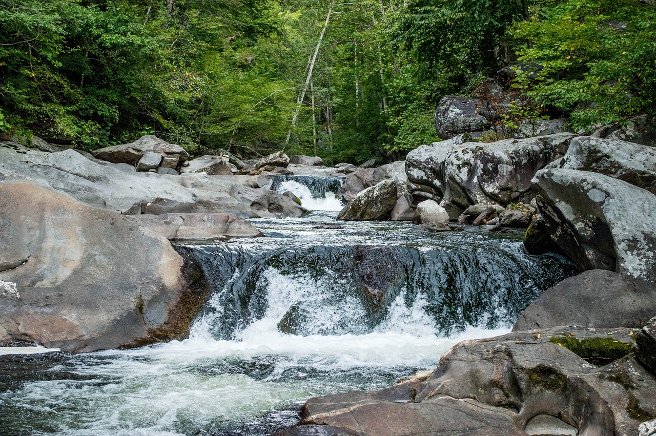 wilderness river outdoor free photo