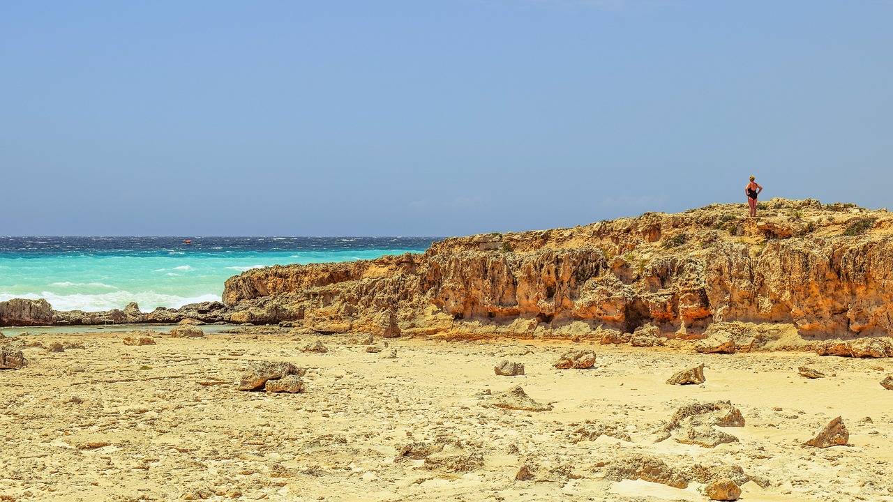 wilderness coast erosion free photo