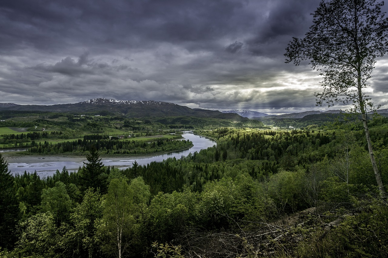 wilderness nordland norway free photo