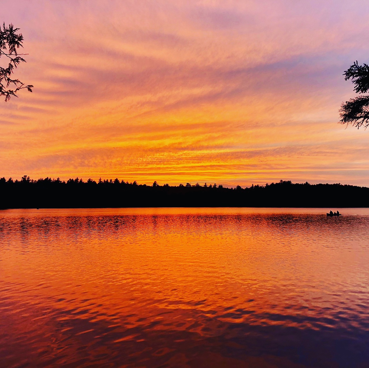 wilderness  lake  sunset free photo