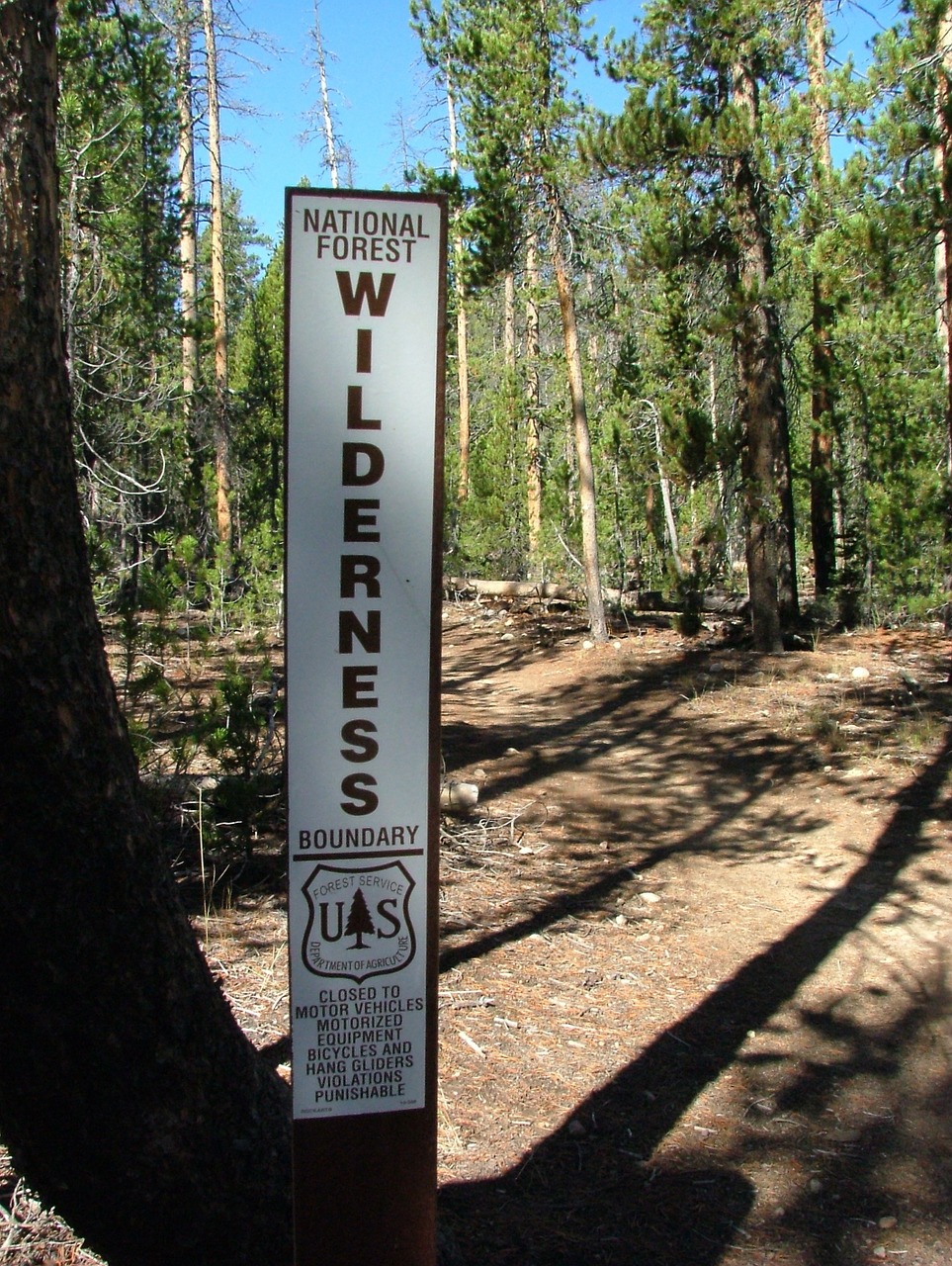 wilderness forest national park free photo