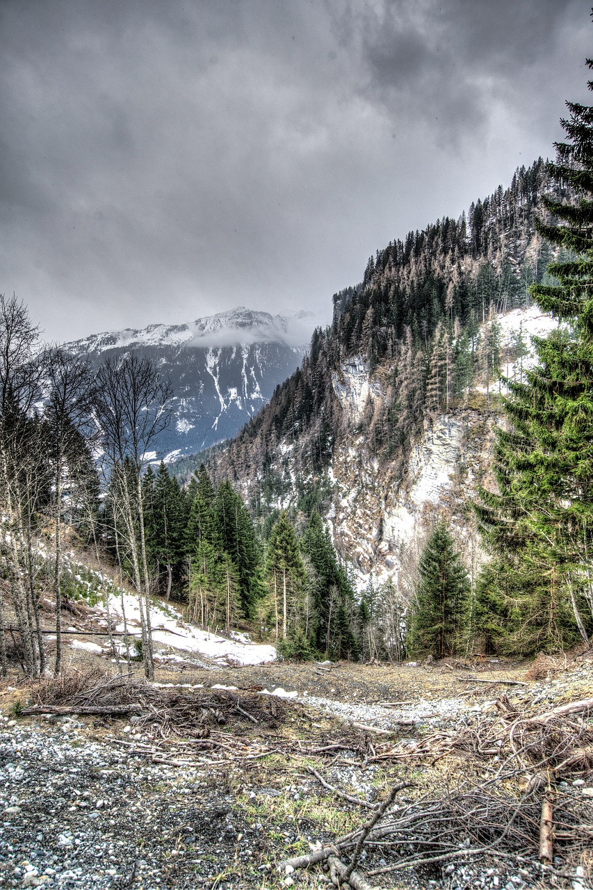 wilderniss mountains trees free photo