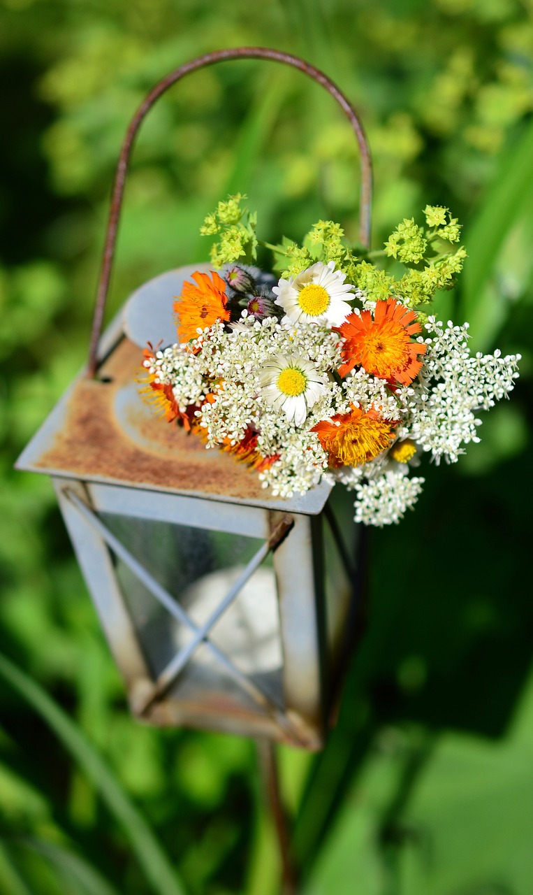 wildflowers  wild flowers  bouquet free photo