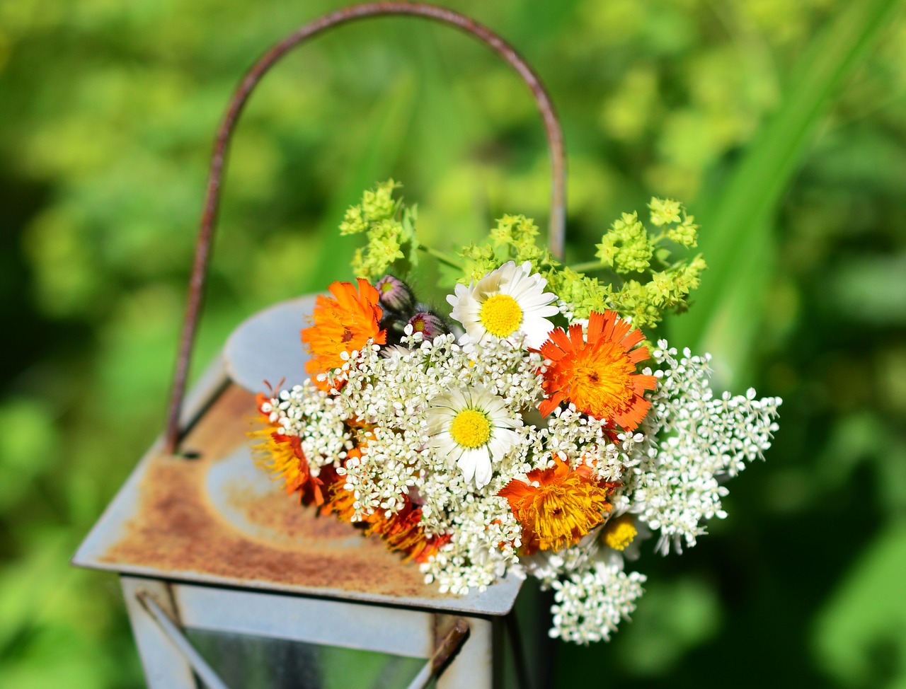 wildflowers  wild flowers  bouquet free photo