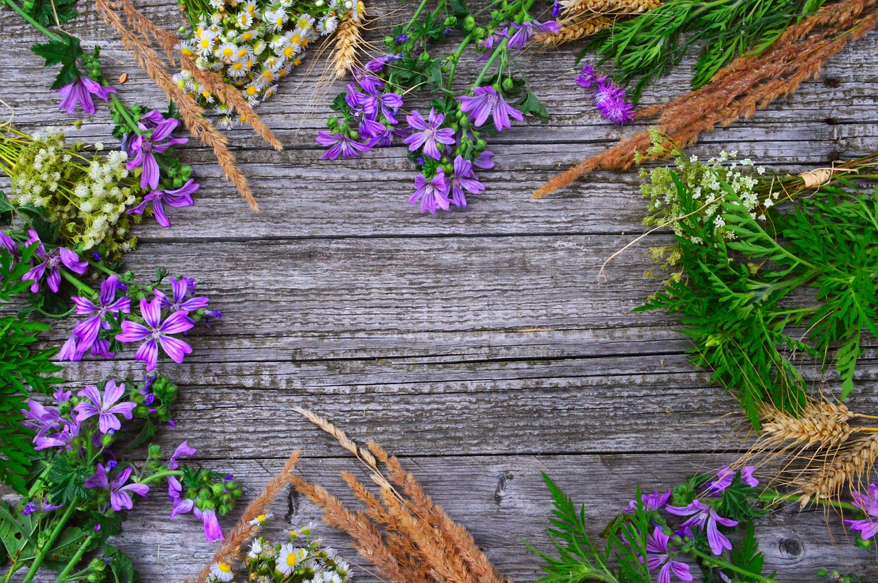 wildflowers  wild flowers  meadow free photo