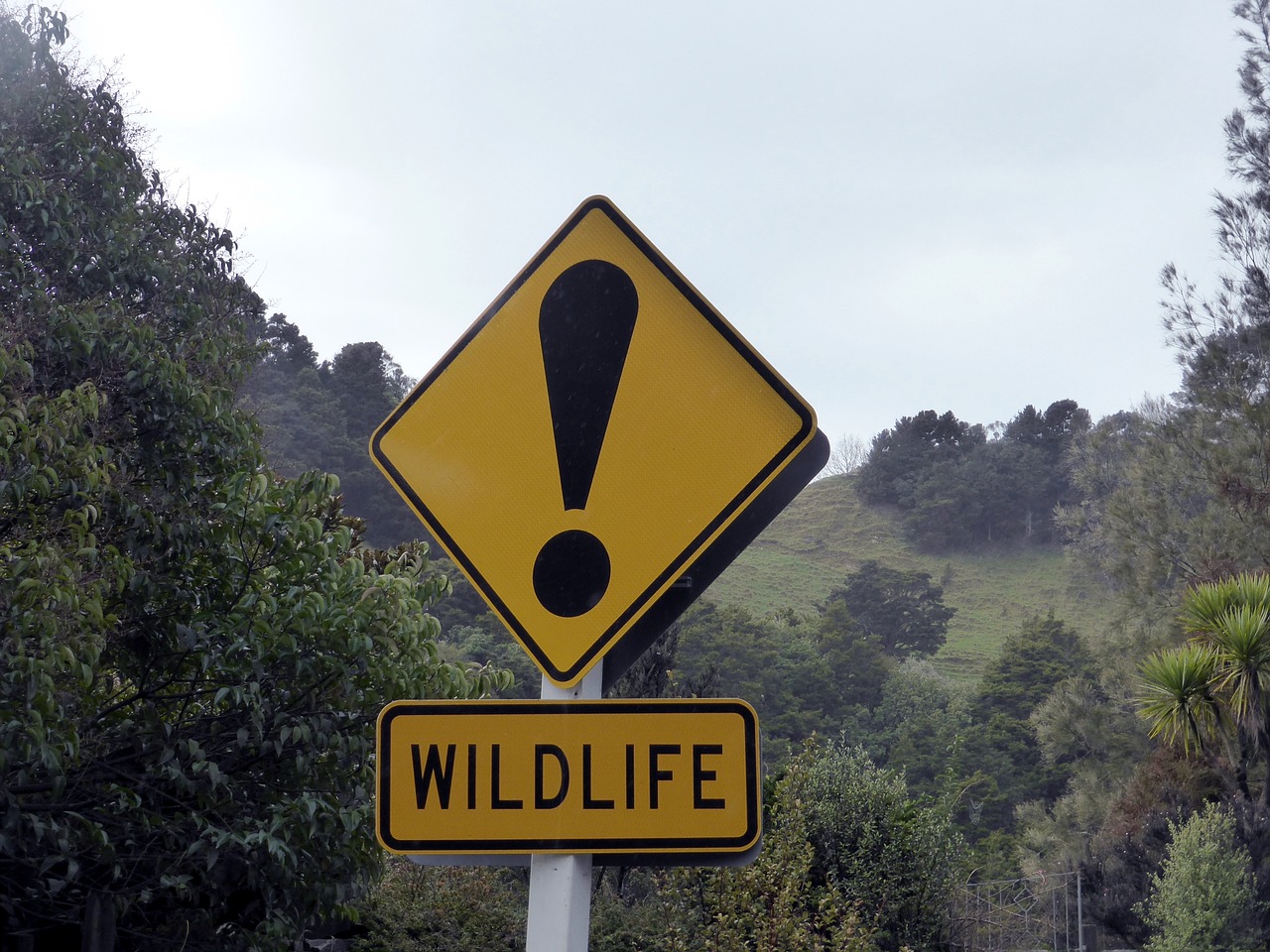 wildlife sign road sign free photo