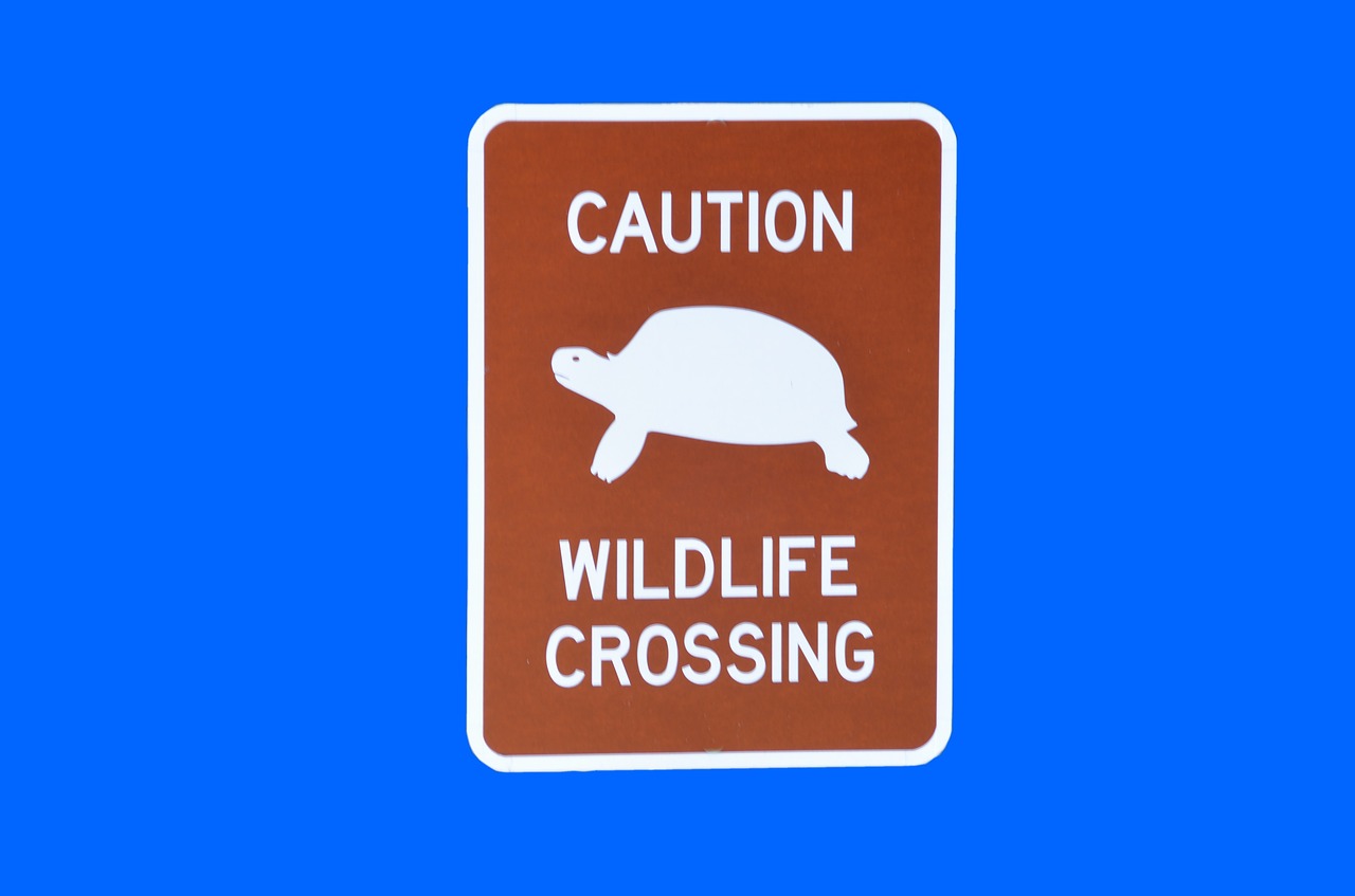 wildlife crossing sign symbol free photo