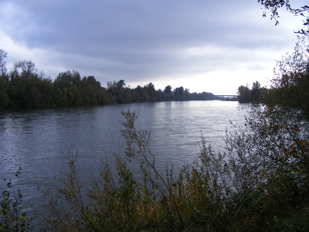 willamette river river clouds free photo