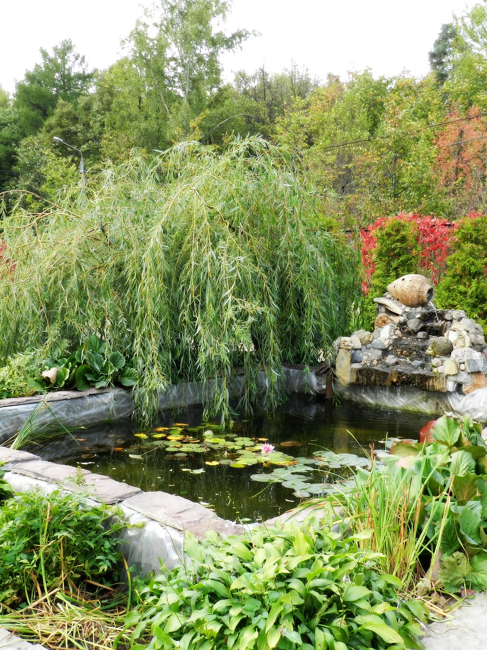 willow fountain nature free photo