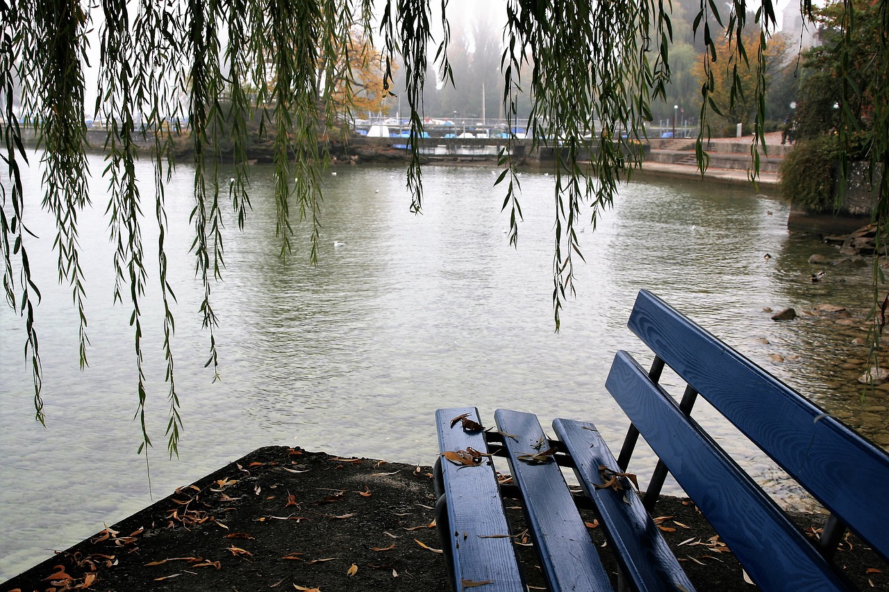 willow bench autumn free photo