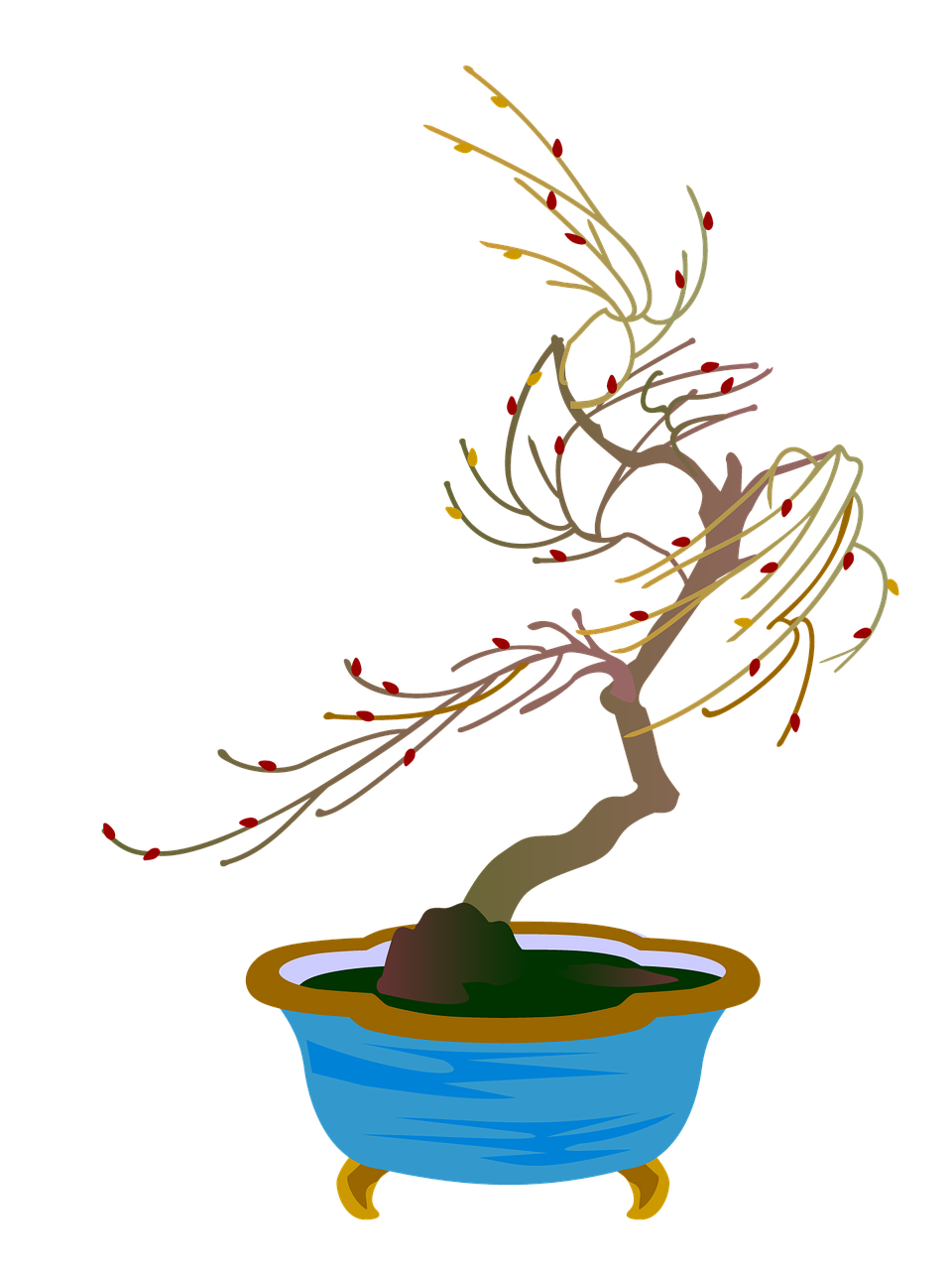 willow bonsai gardening free photo