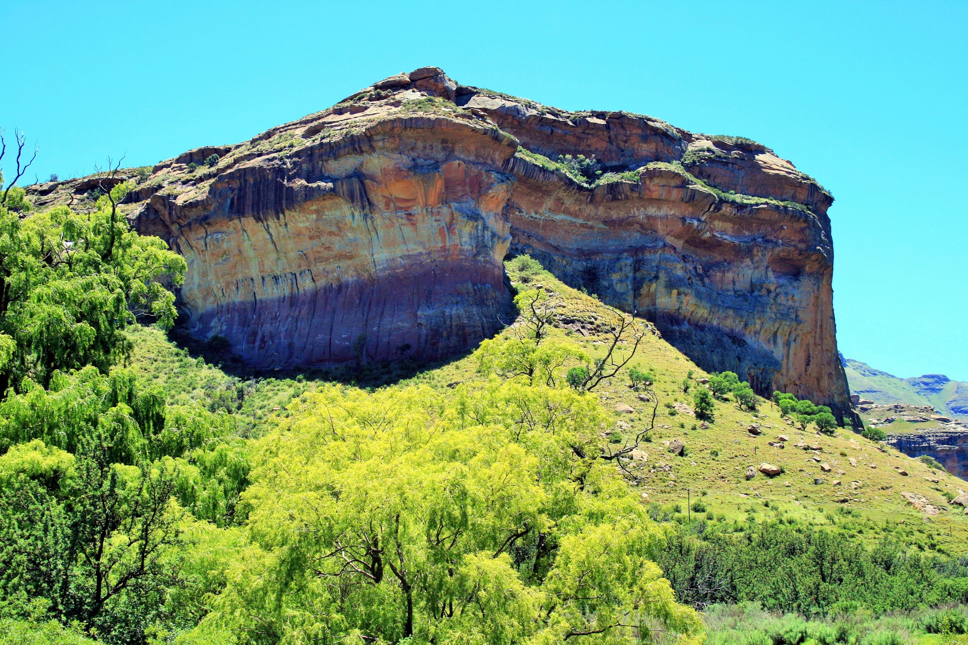 mountain landscape eastern free state willow & jutting sandstone cliff free photo
