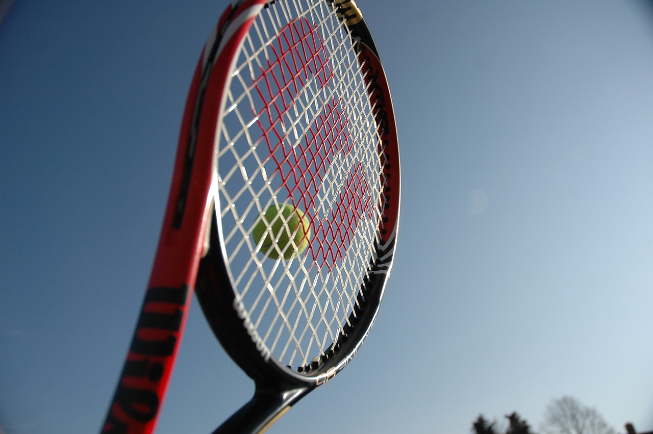 wilson tennis racket jonathan markson tennis free photo