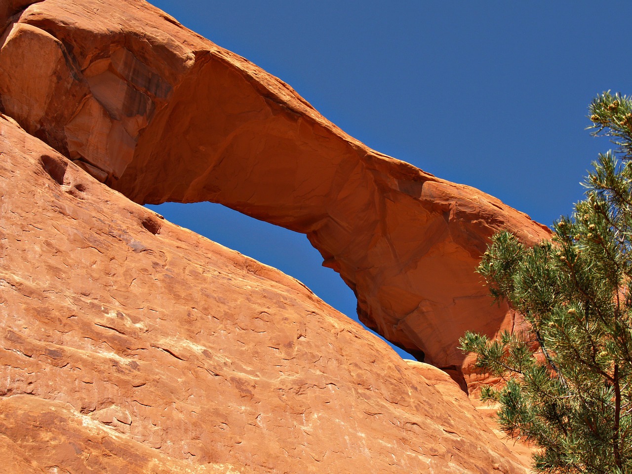 wilson arch red rock free photo
