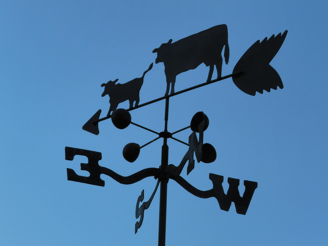 wind weathervane cow free photo
