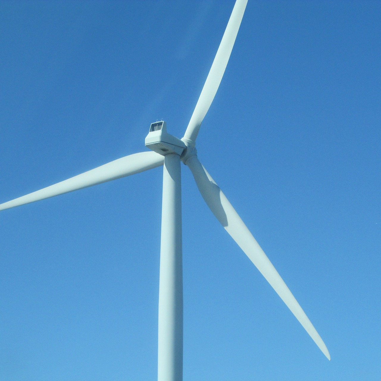 wind turbine energy free photo