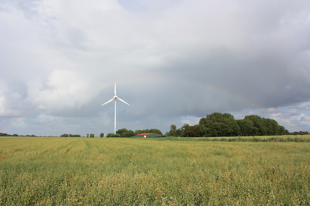 wind pinwheel field free photo