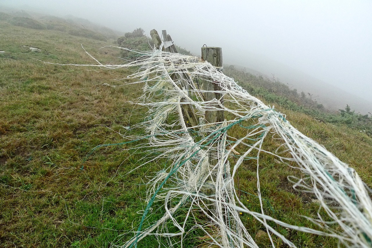 wind breeze fence free photo