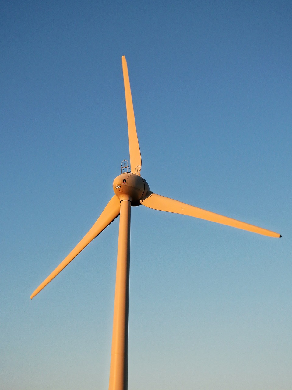 wind wind power energy free photo