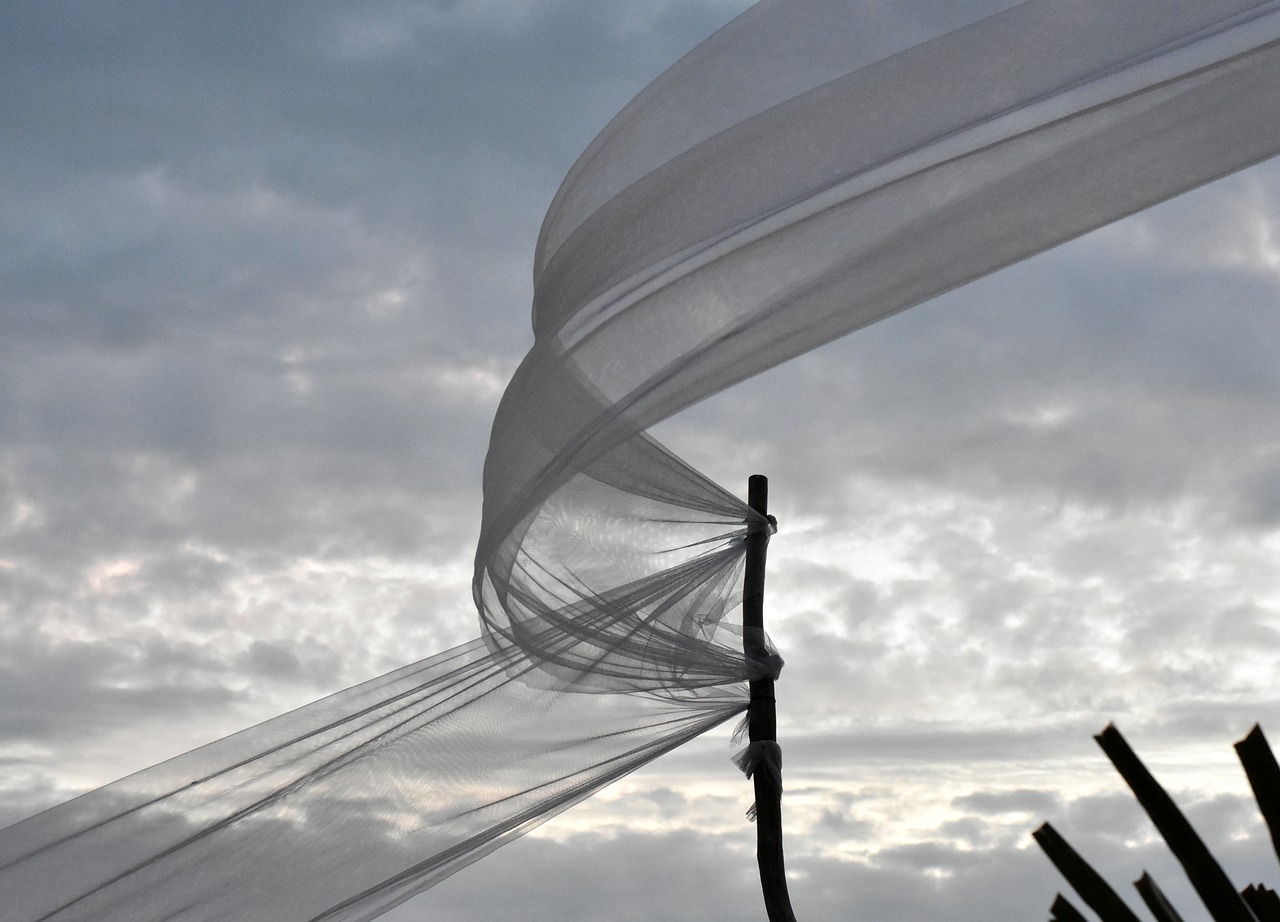 wind clouds summer free photo