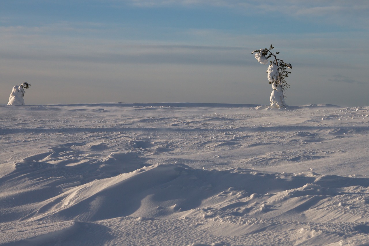 wind winter finland free photo