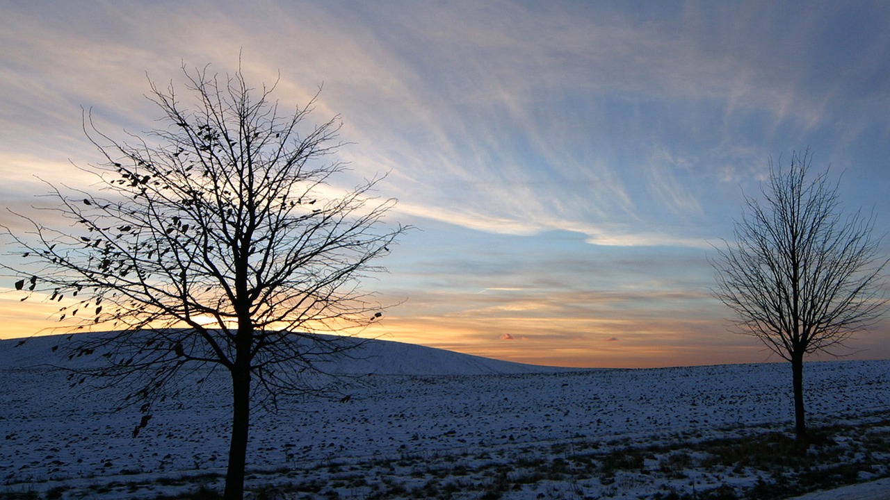 wind cold flying free photo