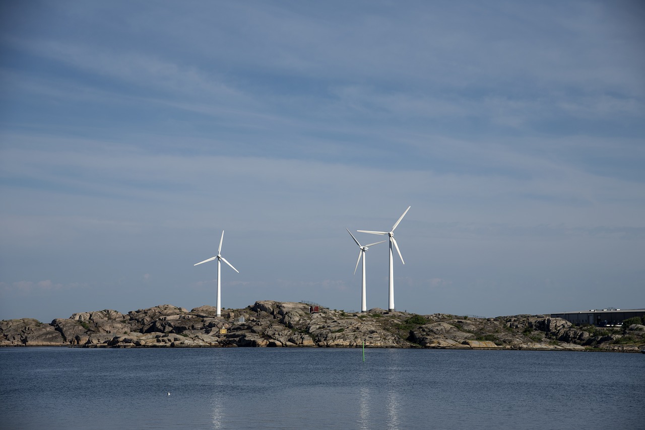 wind  sea  summer free photo