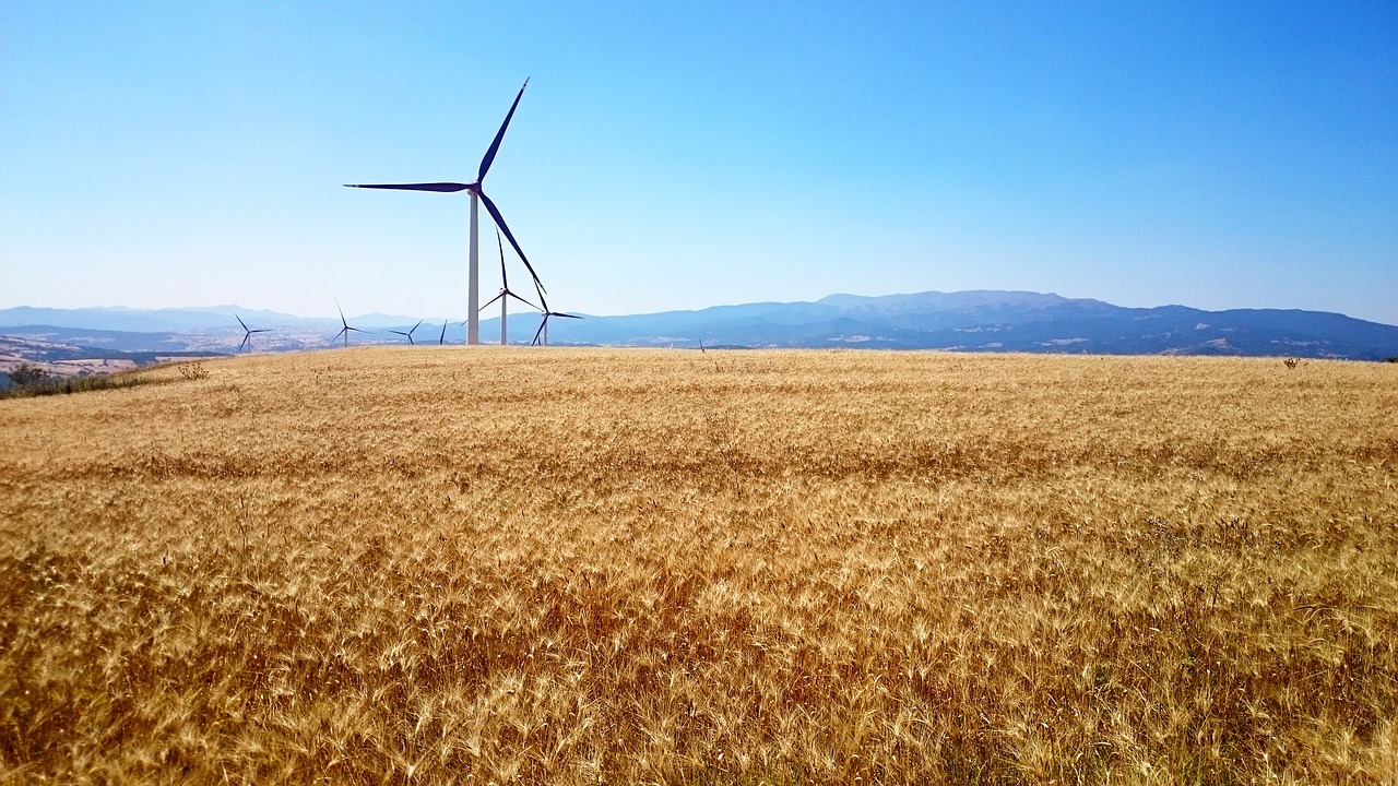 wind  wind turbine  wind turbines free photo