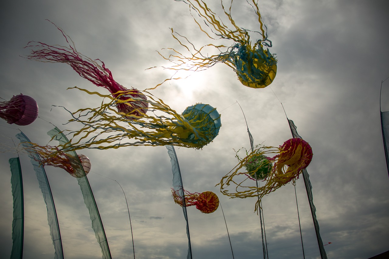 wind  festival  decoration free photo