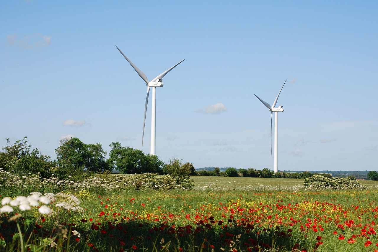 wind turbines farmland free photo