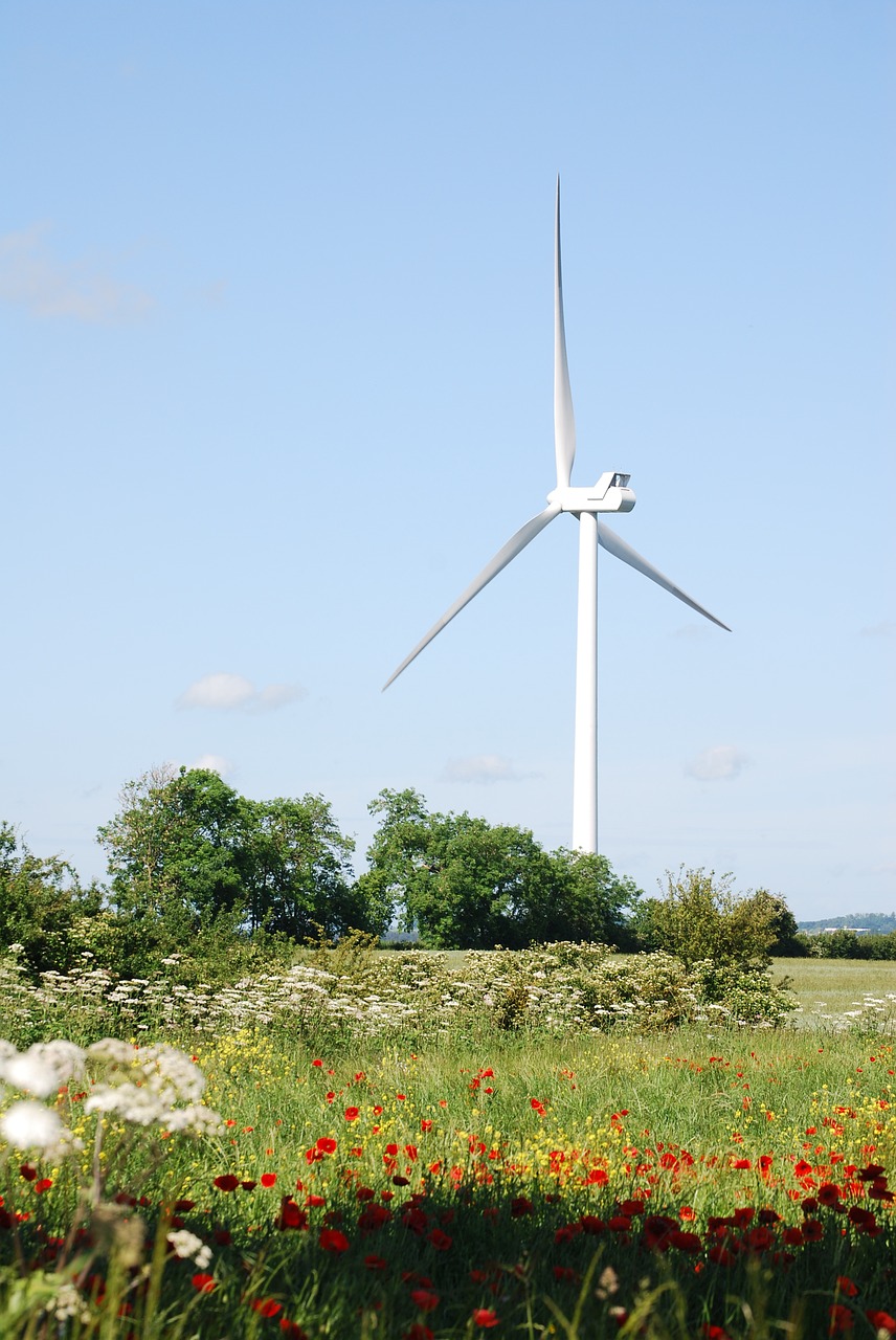 wind turbines farmland free photo