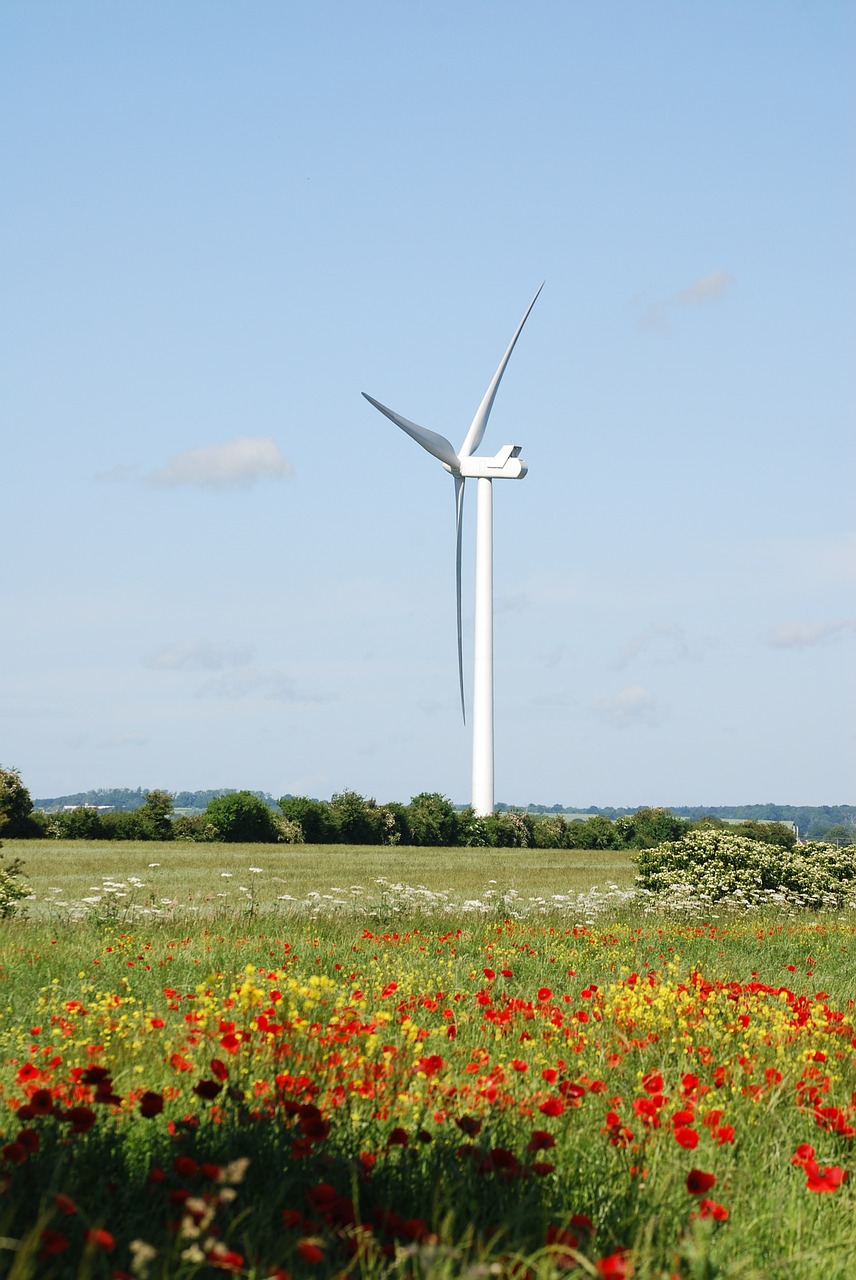 wind turbines farmland free photo