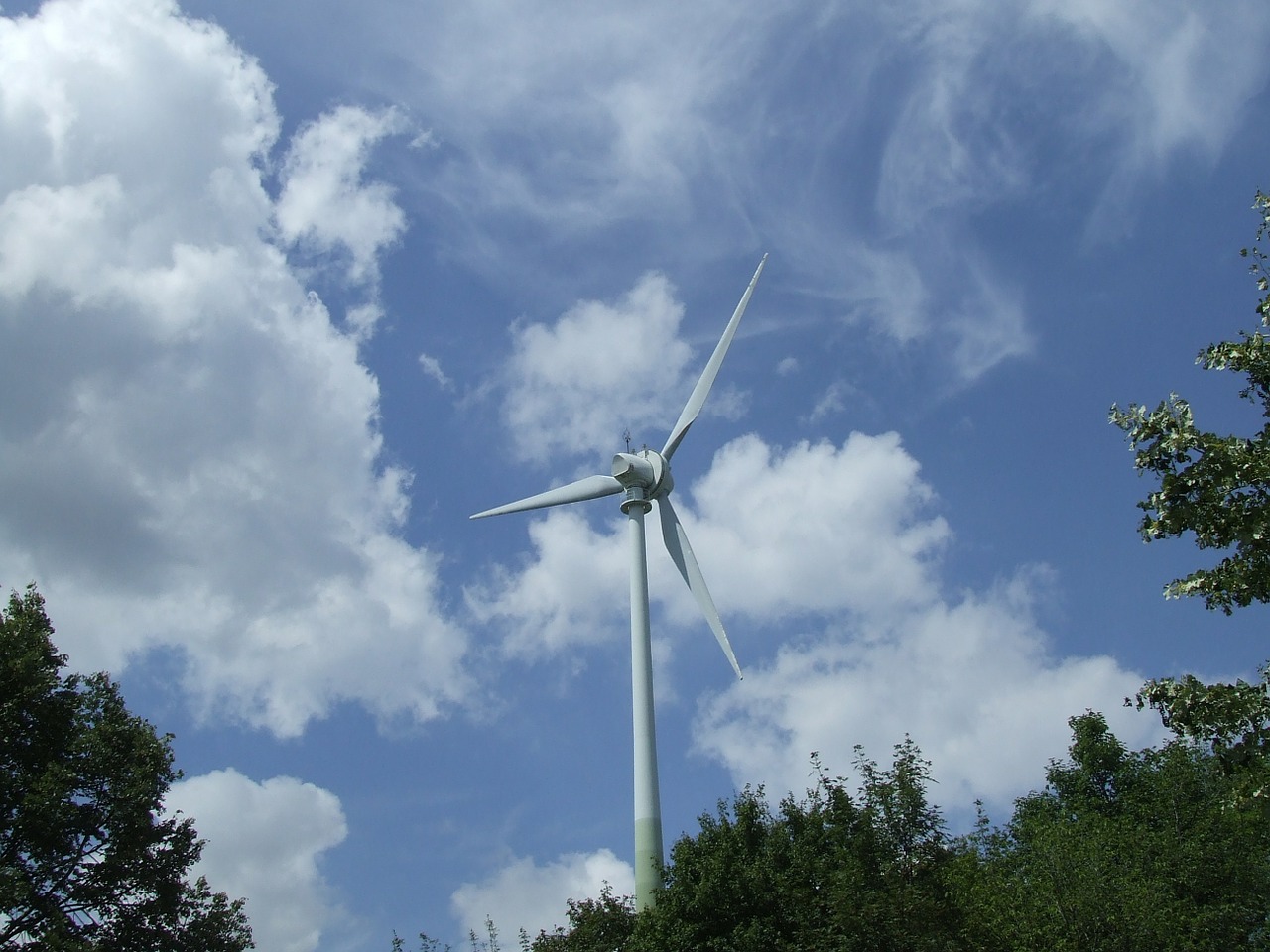 wind pinwheel wind energy free photo