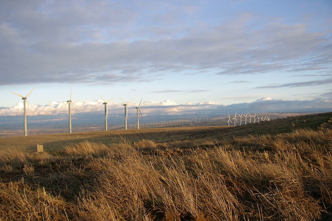 wind turbines electricity free photo