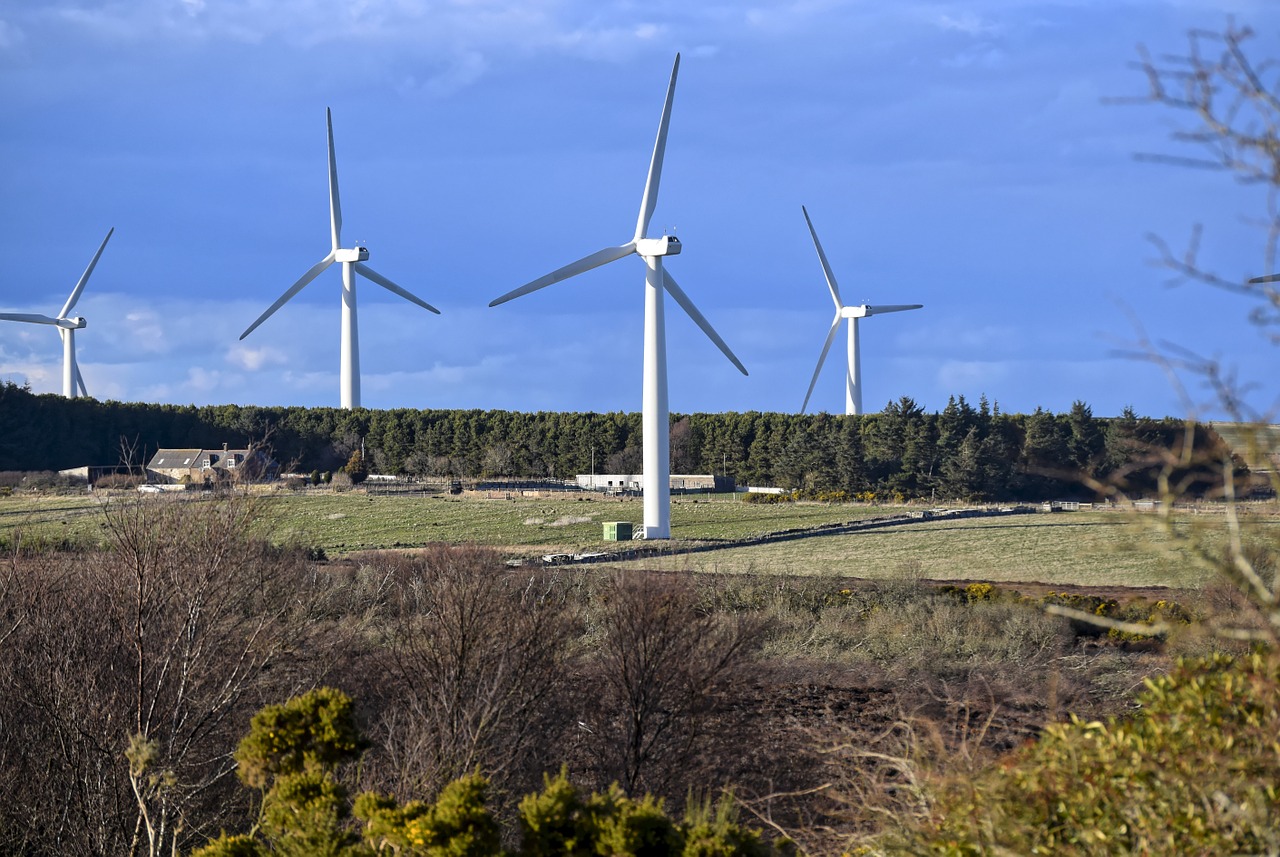 wind turbines energy free photo