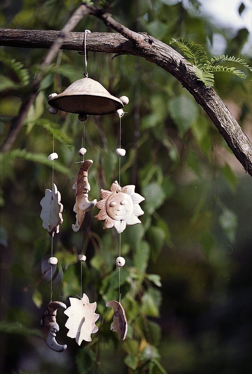 wind chime tree sun free photo