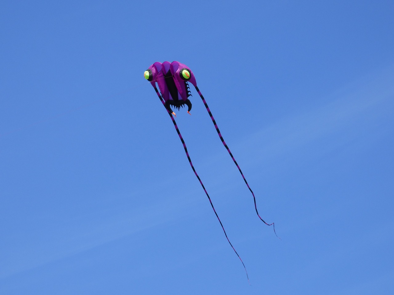 wind dragon dragon kite flying free photo