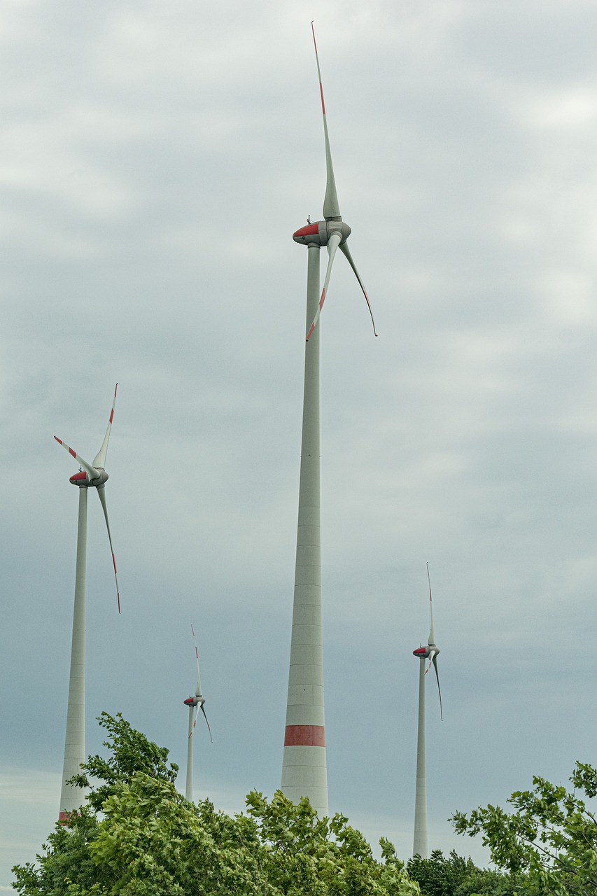 wind edges  current  power generation free photo