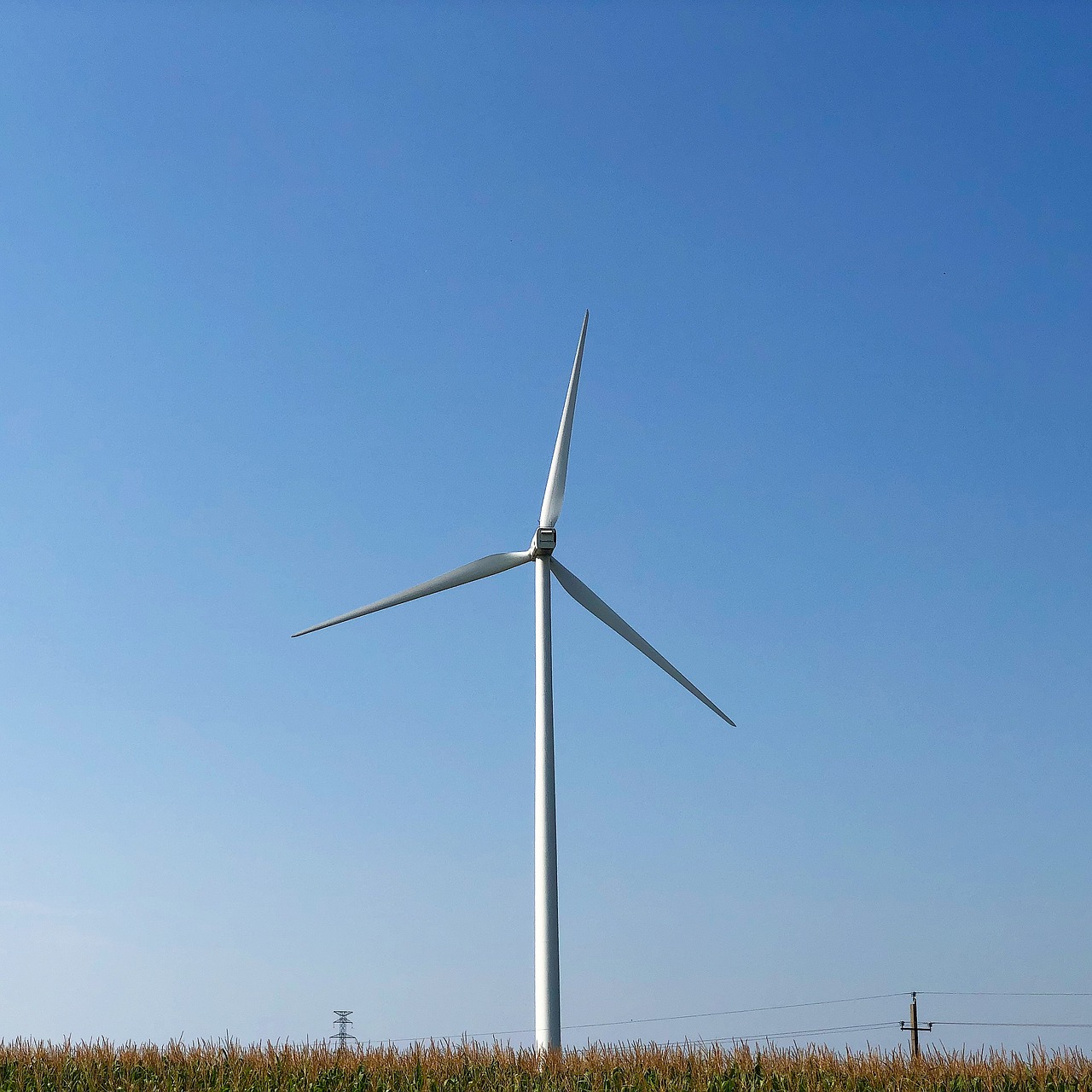 wind farm  nature  energy free photo