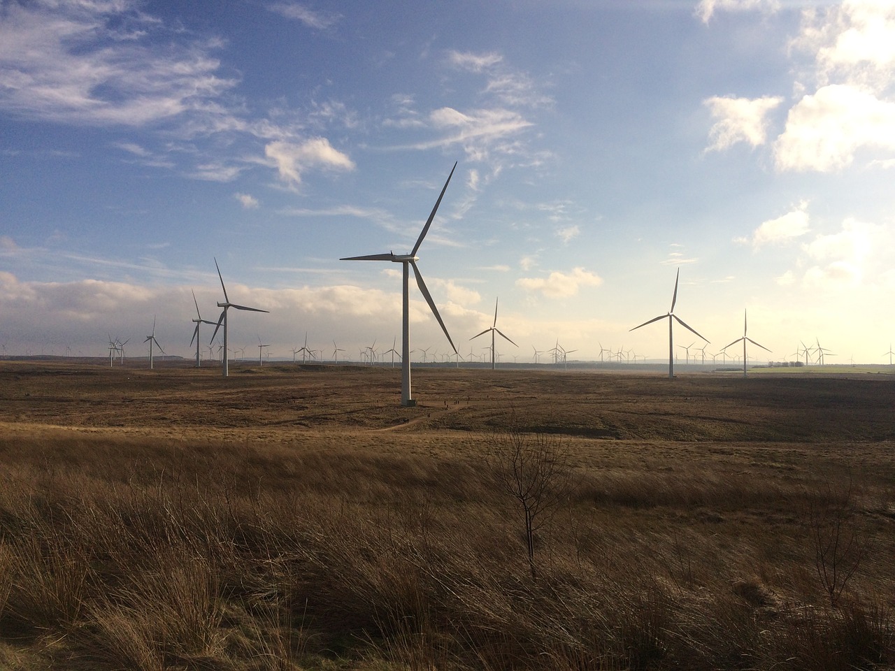 wind farm whitelee renewable energy free photo