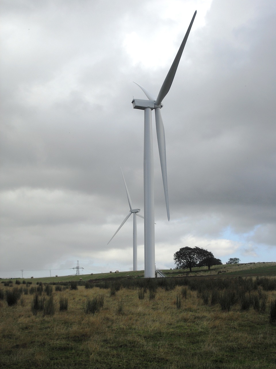 wind farm wind turbine field free photo