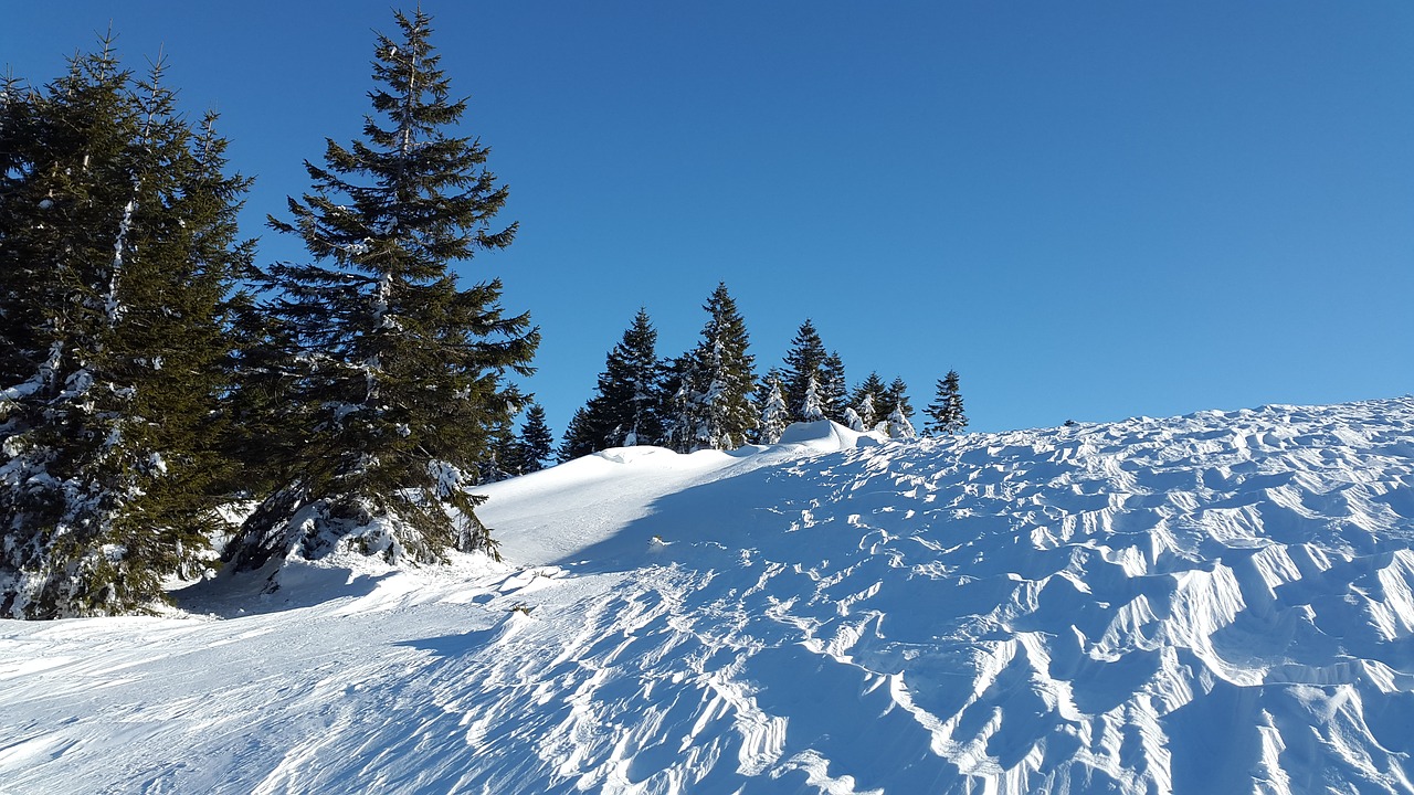 wind gangeln snow winter free photo