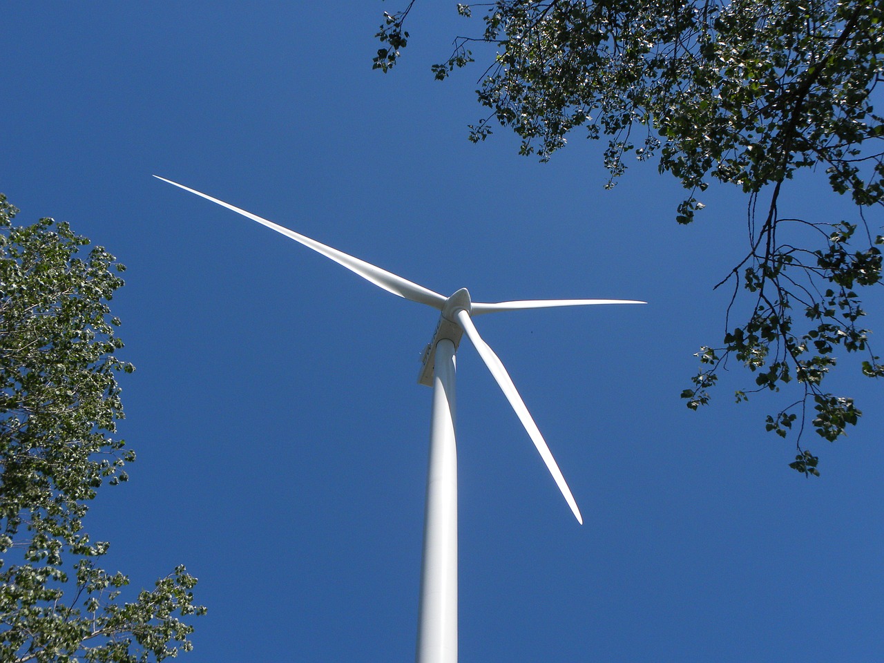 wind mill wind turbine wind energy free photo