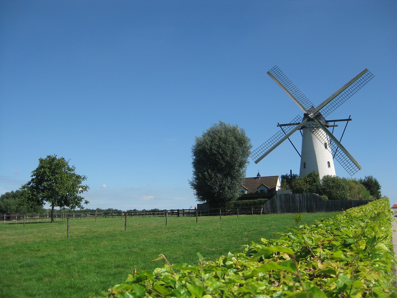 wind mill nature blue sky free photo