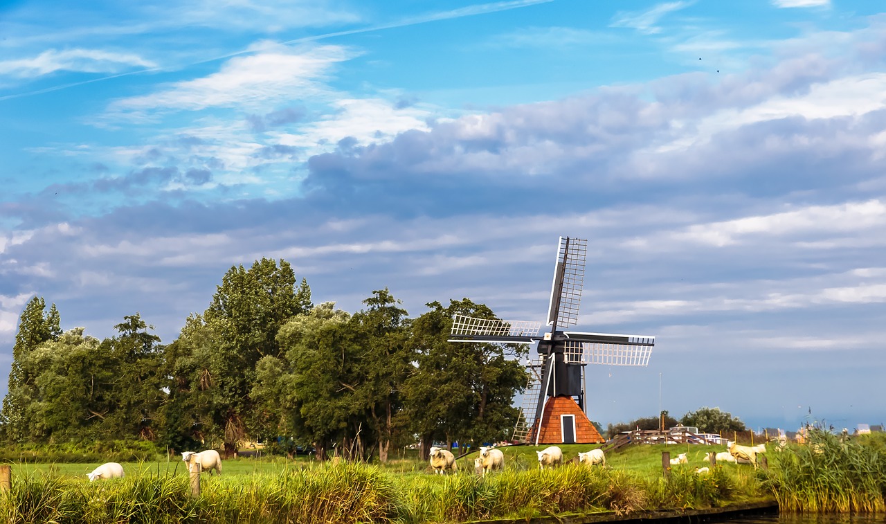 wind mill  landscape  netherlands free photo
