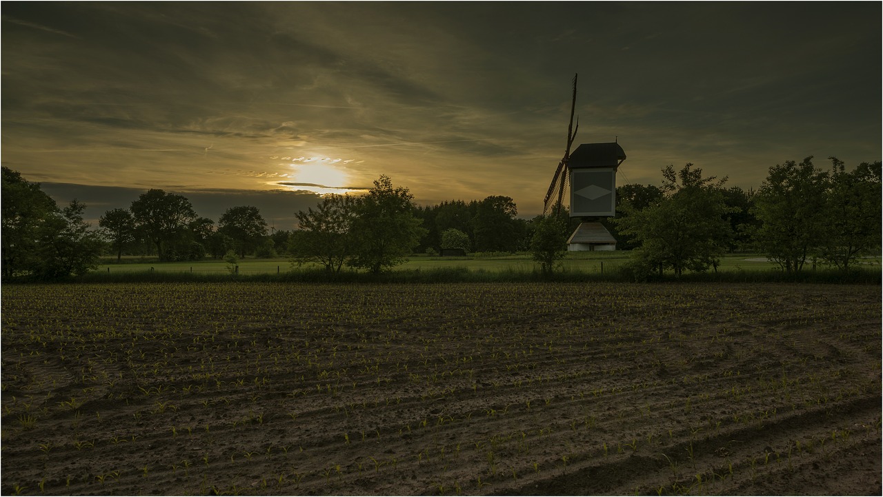 wind mill  sunset  landscape free photo