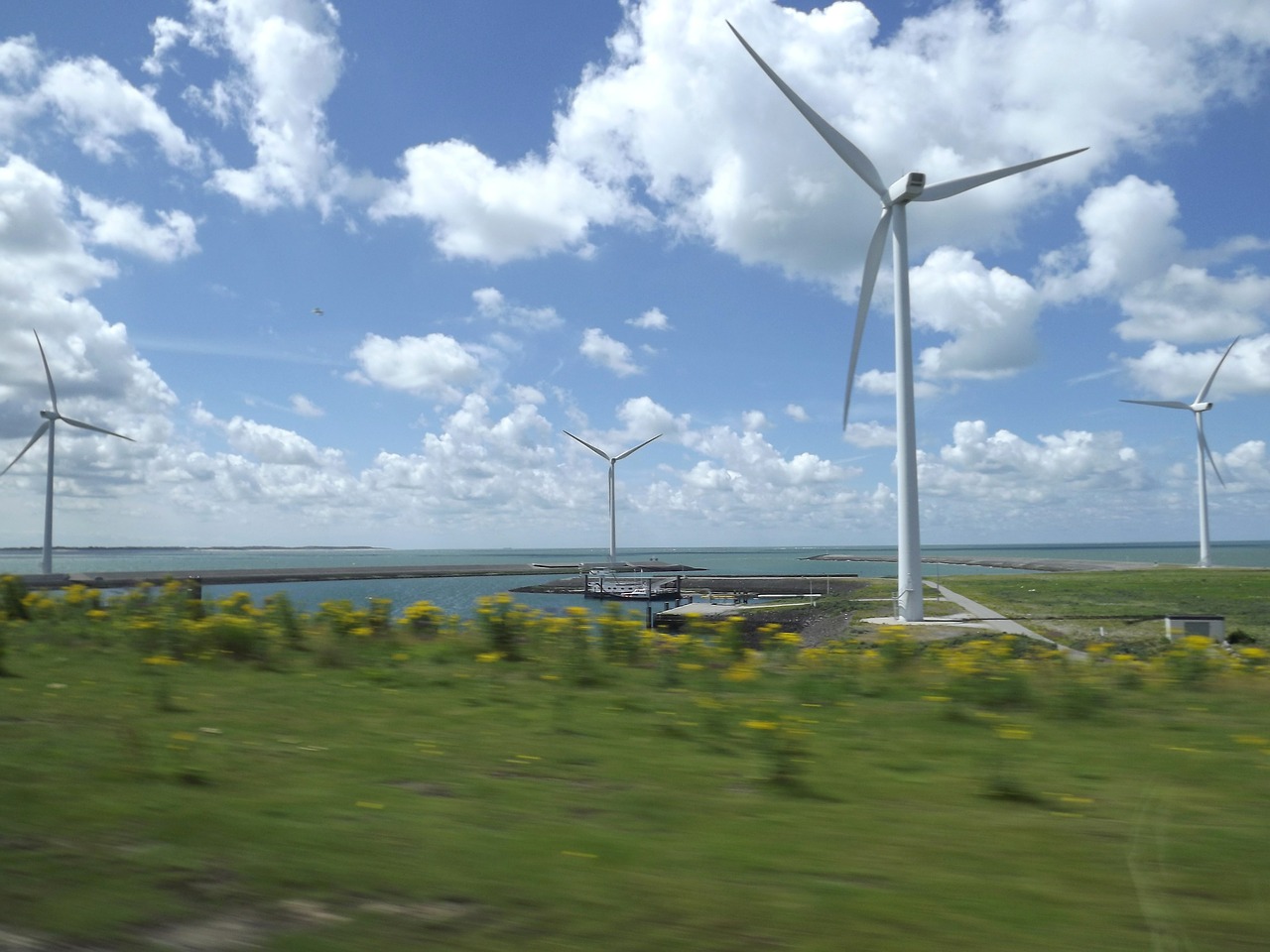 wind mill zealand netherlands free photo